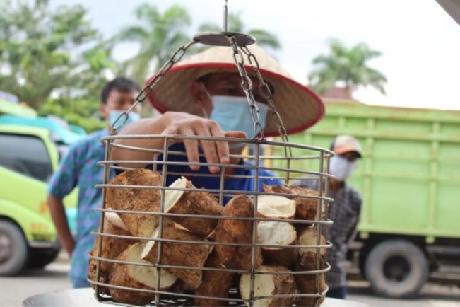 Lindungi Petani, Kini Resmi Batasi Impor Singkong dan Tapioka